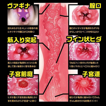 NPG - 名器之証明 File 003 葵司 自慰器
