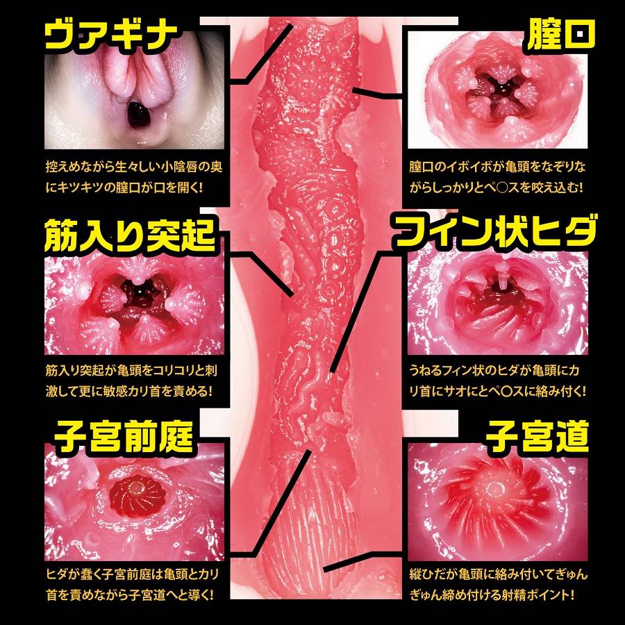 NPG - 名器之証明 File 003 葵司 自慰器