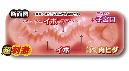 Toysheart - 工口姐姐超刺激版 飛機杯