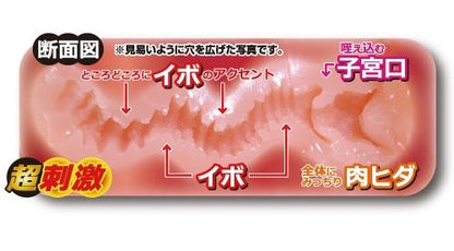 Toysheart - 工口姐姐超刺激版 飛機杯